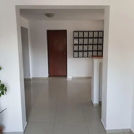 Cozy&elegant New In Apartment