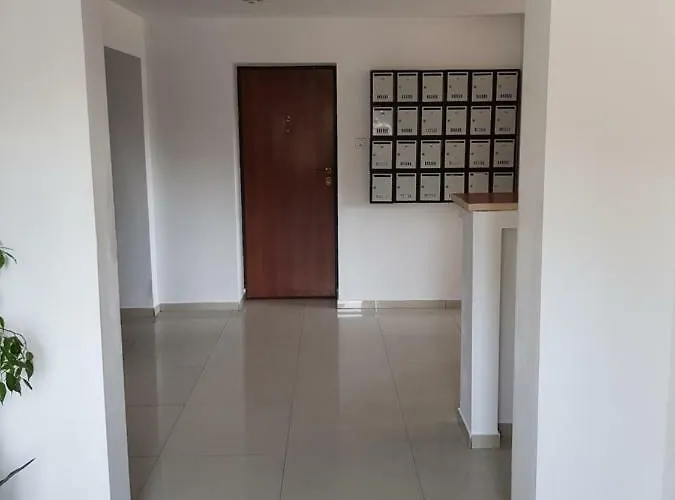 Cozy&elegant New In Apartman